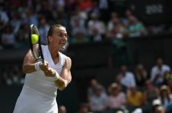 包含科维托娃迎来十赛季高光表现，IG球迷沸腾！的词条