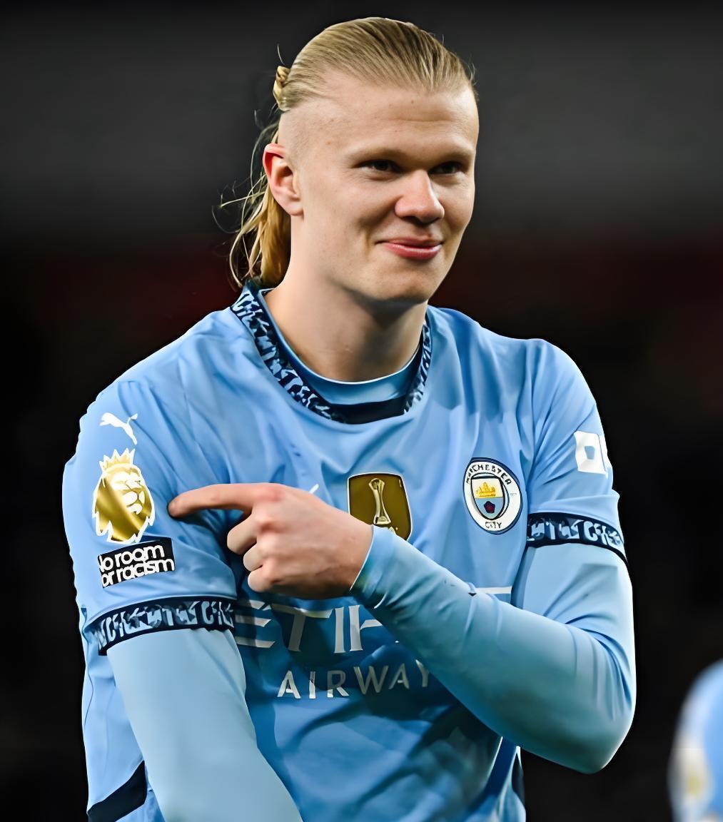 哈兰德战绩 哈兰德战绩